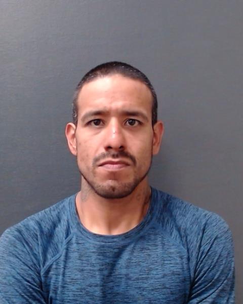 GODINA, JONATHAN VICTOR booking photo