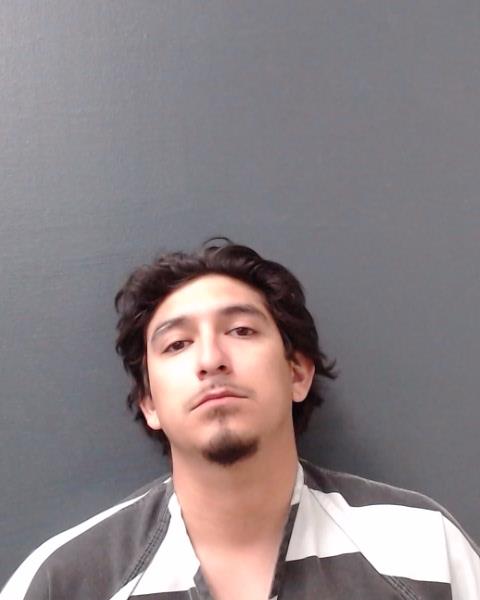 FLORES, TRINIDAD DORIA, V booking photo