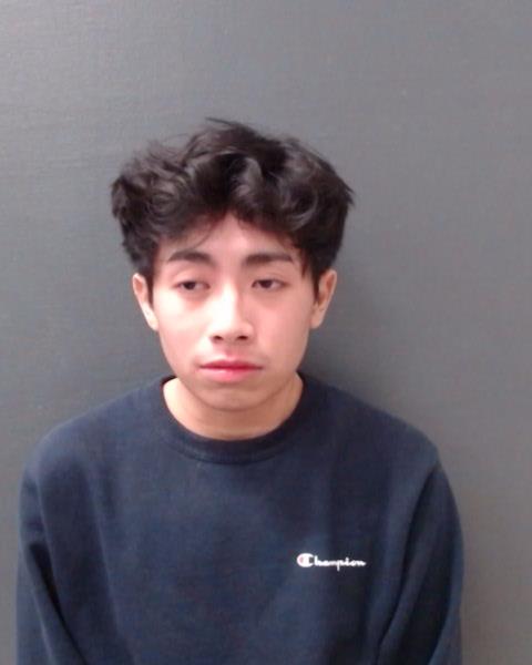TRUONG, DYLAN HUYNH booking photo