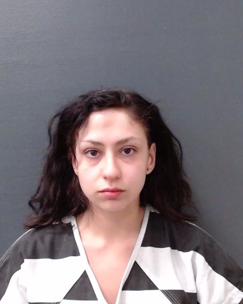 TREVINO, FELISIA DOMINGA booking photo