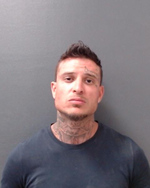 YOUNG, NICHOLAS RENE booking photo