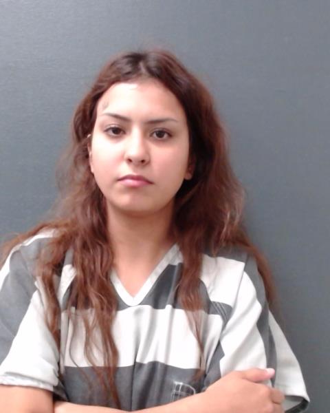 HANSEN, KATRINA MARIE booking photo