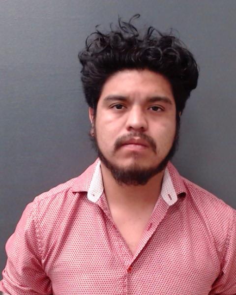 REYES, LUIS RAUL booking photo