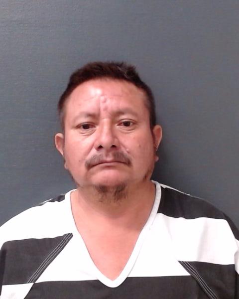 PEREZ-RODRIGUEZ, SARAFIN booking photo