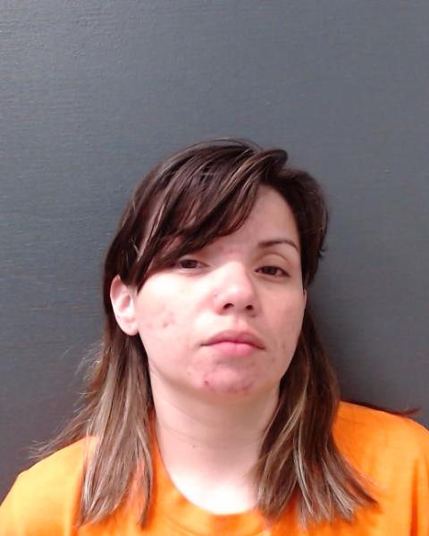 ALVARADO, BRENDA ANN booking photo