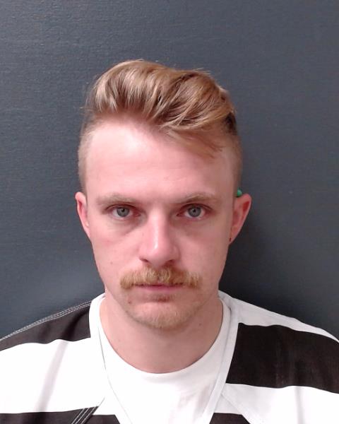 ANDERSON, CODY LANE booking photo