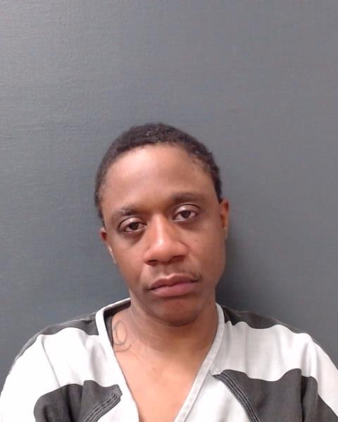 JOHNSON, NATASHA NICOLE arrested by Comal County SO/PD