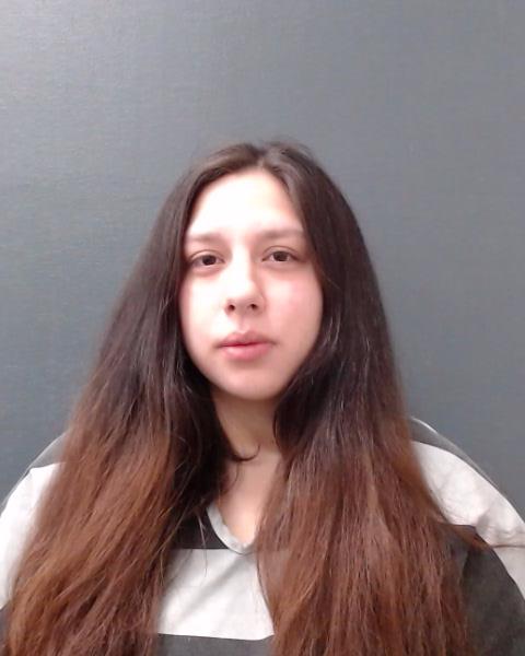 HERRERA, TERESA MARIE arrested by Comal County SO/PD