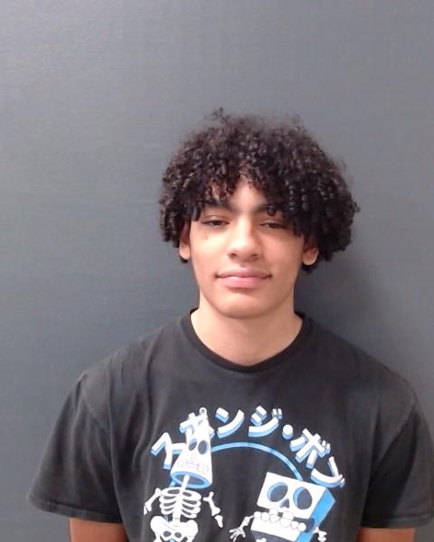 LEON, MYLES BRIDGES booking photo