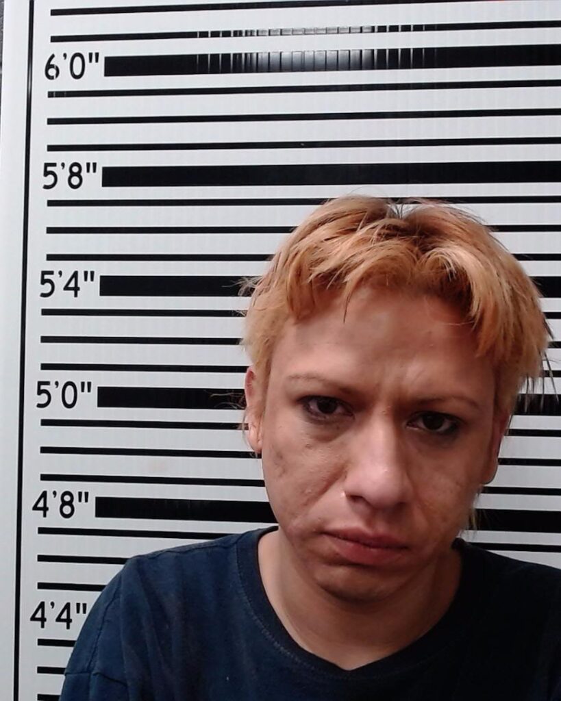 DIAZ, NDEMERICH YOSHI arrest record in Comal County, Texas DIAZ, NDEMERICH YOSHI arrested in Comal County, Texas mugshot