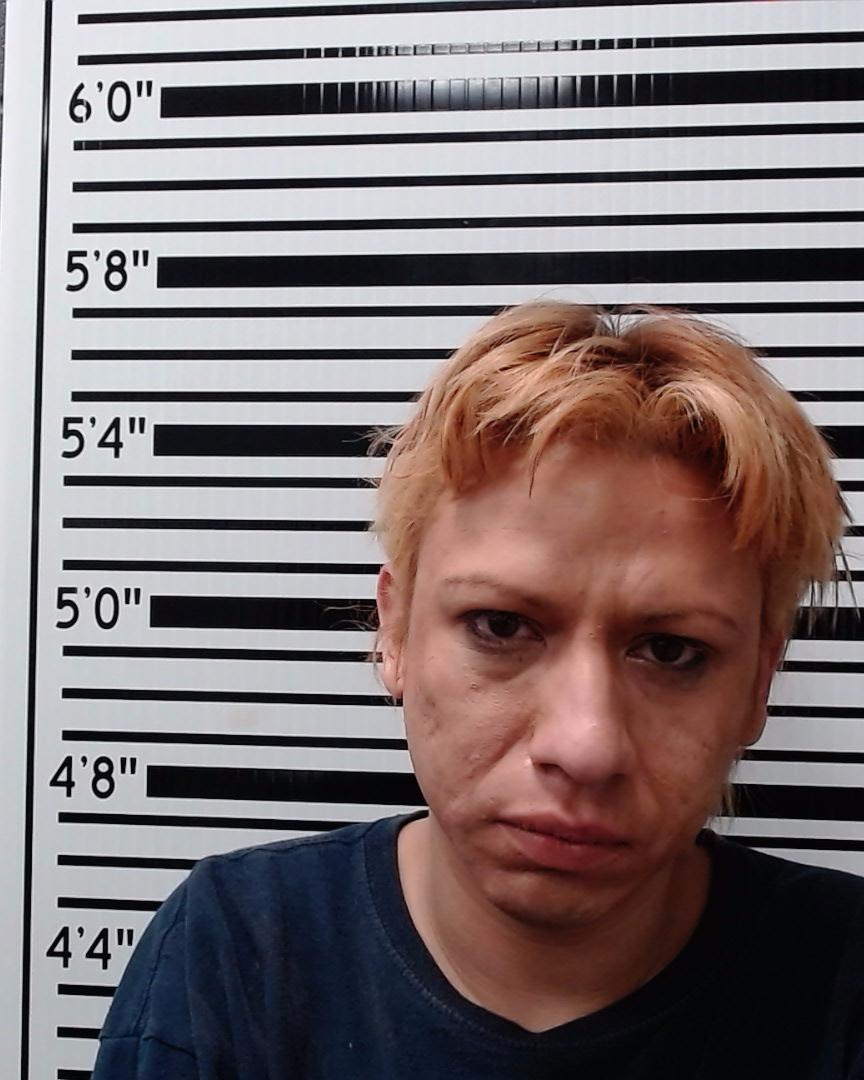 DIAZ, NDEMERICH YOSHI booking photo