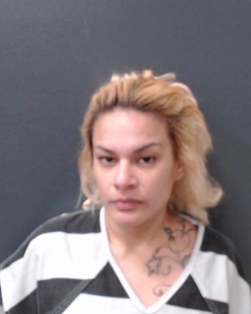 ELIZONDO, ELIZABETH ROSE V booking photo