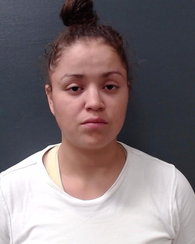 ALVAREZ-HERNANDEZ, KATHERINE J arrested in Comal County, Texas mugshot
