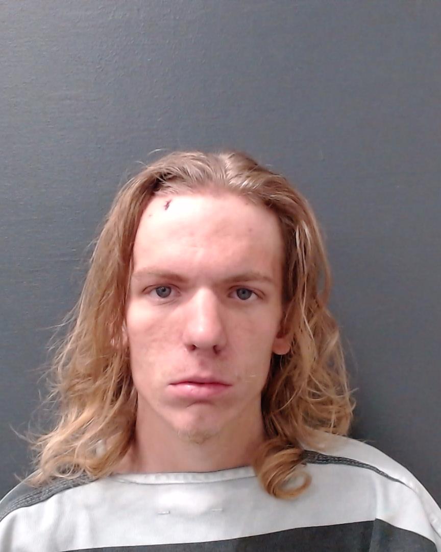 GIBSON, BRANDON ALEXANDER booking photo