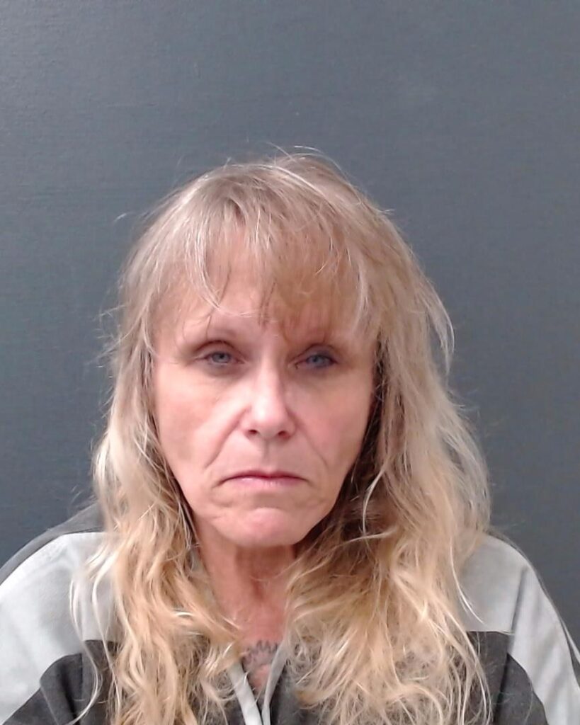 TOLLISON, SHASTIA DELANE arrest record in Comal County, Texas TOLLISON, SHASTIA DELANE arrested in Comal County, Texas mugshot