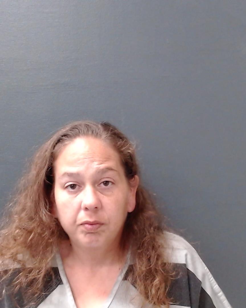 BUNDICK, AMANDA DAWN booking photo