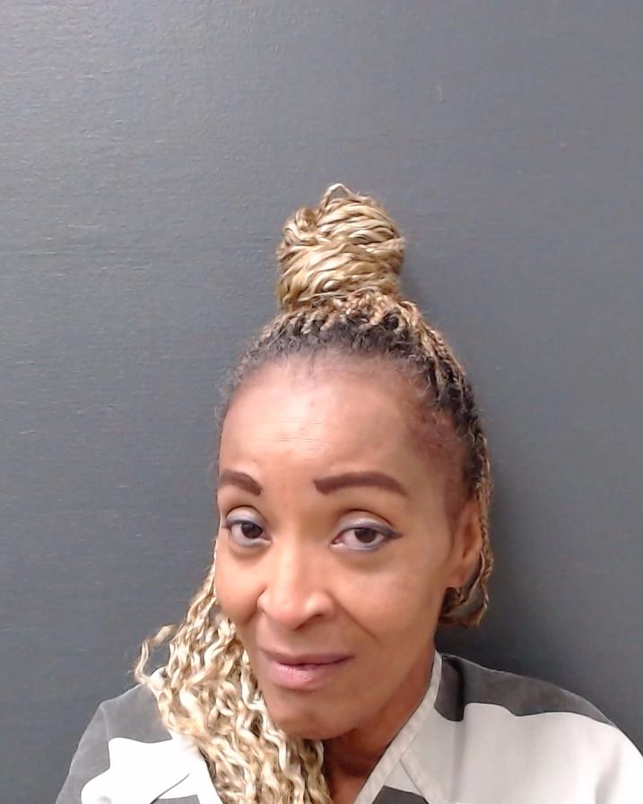 BOWMAN, DONNA MONEEK booking photo