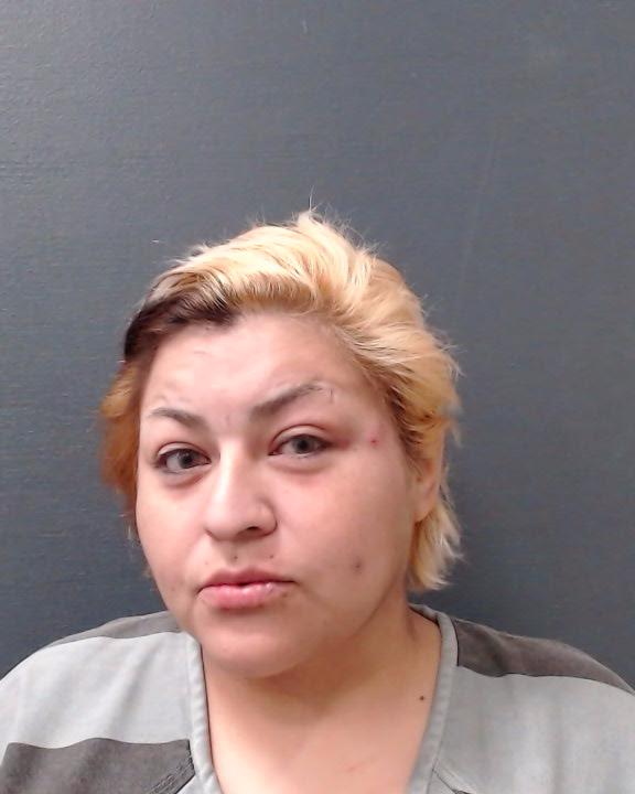 SALAZAR, SYLVIA booking photo