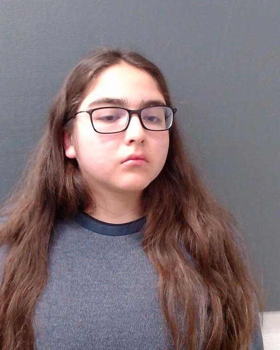 PEREZ, ASHLEY MARIE booking photo