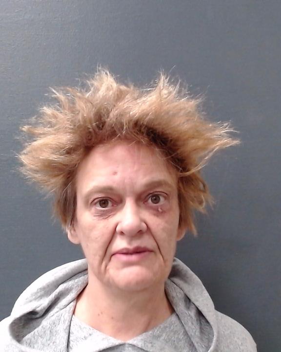 COWELL, TINA booking photo