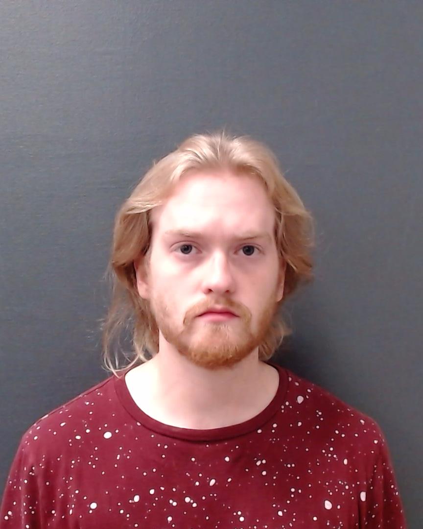 DAVIS, DYLAN PAUL booking photo