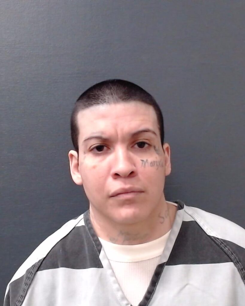 OLGUIN, ASHLEY NIKITA arrest record in Comal County, Texas OLGUIN, ASHLEY NIKITA arrested in Comal County, Texas mugshot