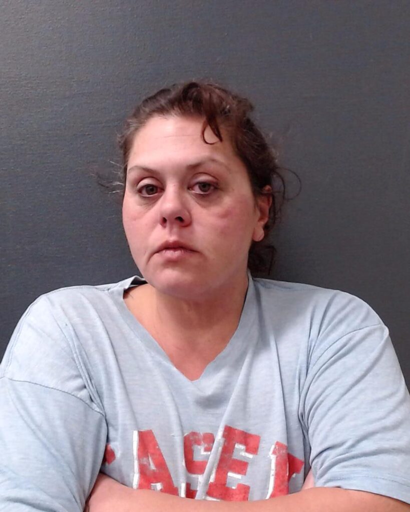 BREWSTER, BRANDI LEE arrest record in Comal County, Texas BREWSTER, BRANDI LEE arrested in Comal County, Texas mugshot