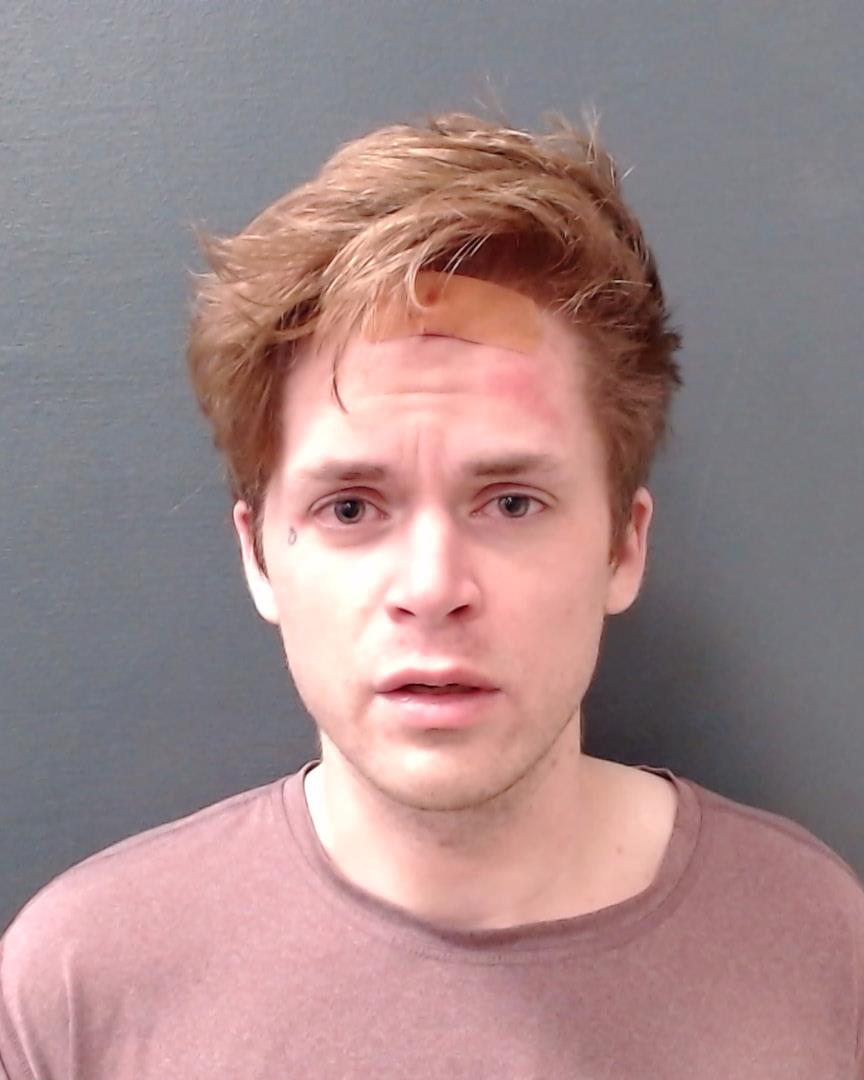 ERVIN, BLAKE CARROLL booking photo