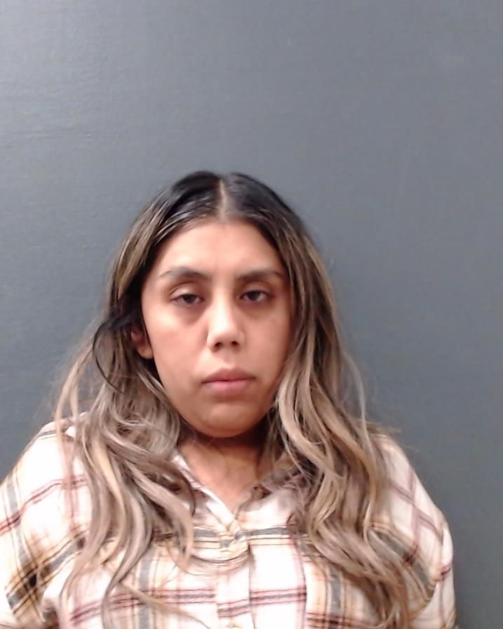OCHOA ARMENTA, ANA LUCERO booking photo