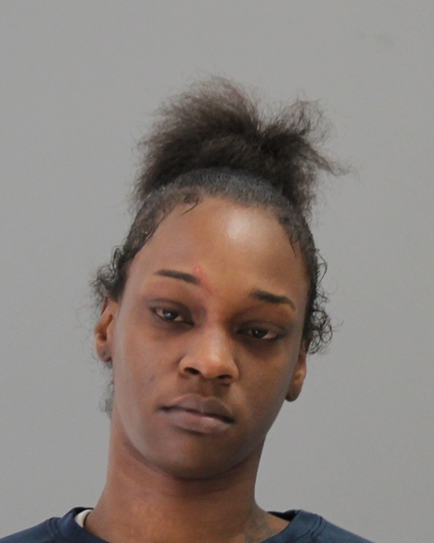 TURNER, DEMEKA RENAY booking photo