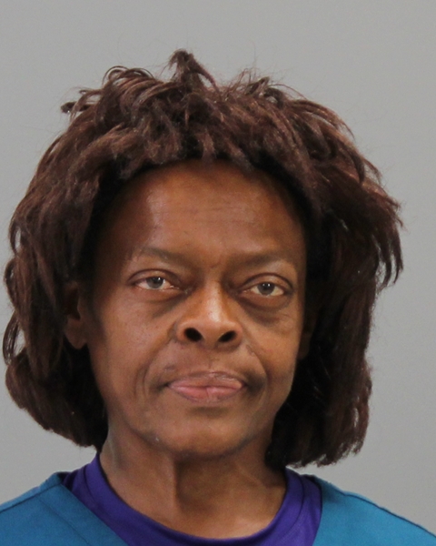 NOWLIN, TEMESHA RENEE booking photo