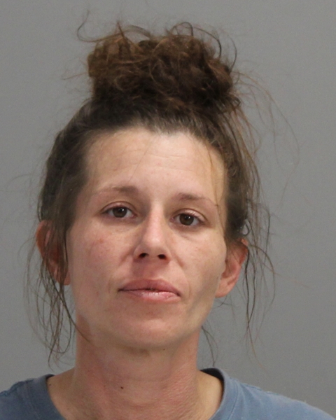 BINTLIFF, RAE ANN booking photo