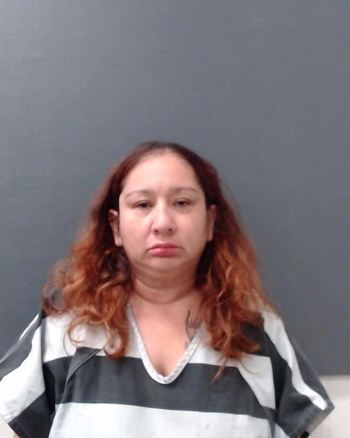 MORALES, MICHELLE MORENO booking photo