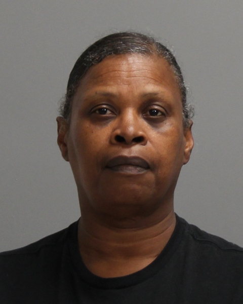 PERRY, TERESA ANN booking photo