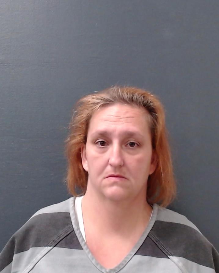 HOPKINS, SHEENA NICOLE booking photo
