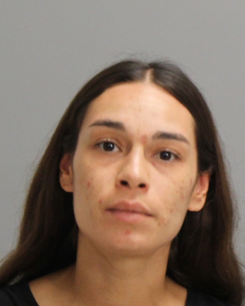 SALAZAR, ERICA ROSE booking photo