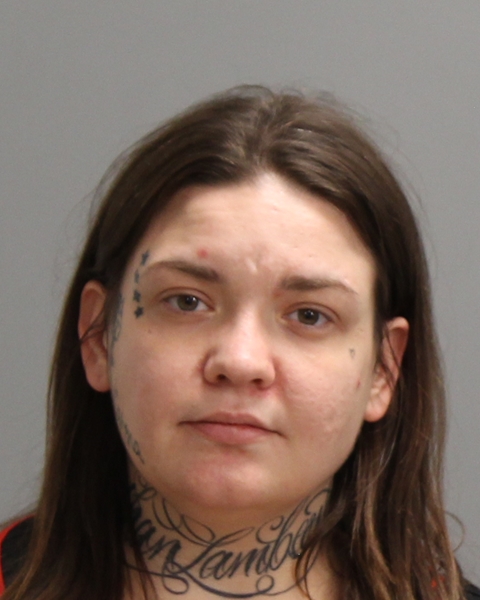 MERRITT, ASHLEE ANNE booking photo