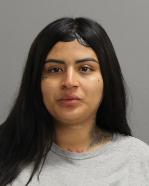 CHAVEZ, SABRINA booking photo