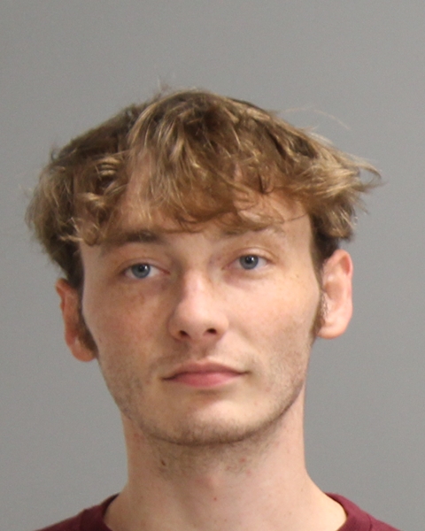 NAVARRO, NICOLAS LAINE booking photo