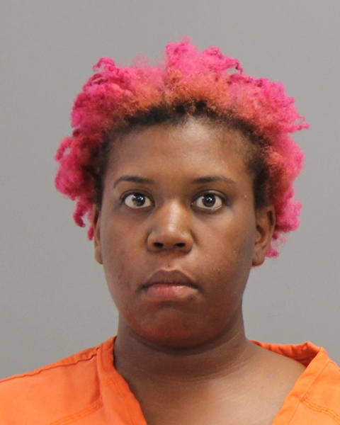 BRIGGS, TITANIA 02151993 booking photo