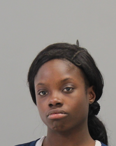 WILLIAMS, JESSICA LYNN booking photo