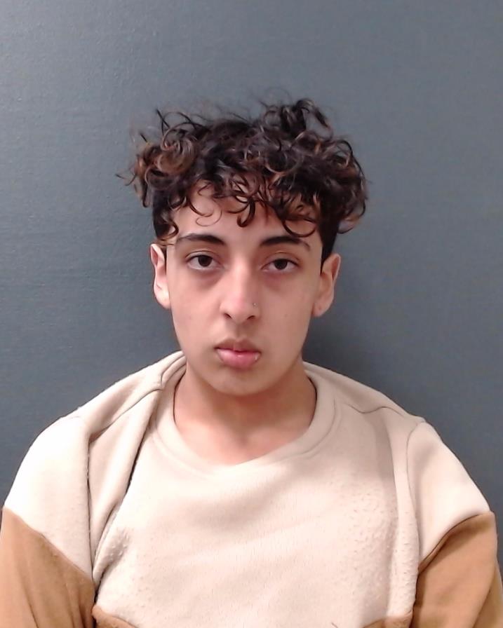 MENDOZA, MANUEL JULIAN booking photo