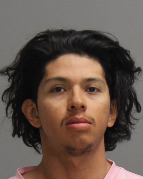 GUERRERO-MARTINEZ, ANJEL booking photo