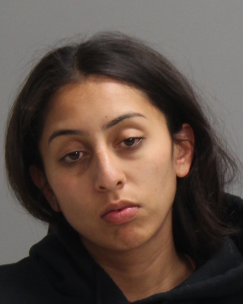 LOPEZ, EVELYN CHRISTINE booking photo