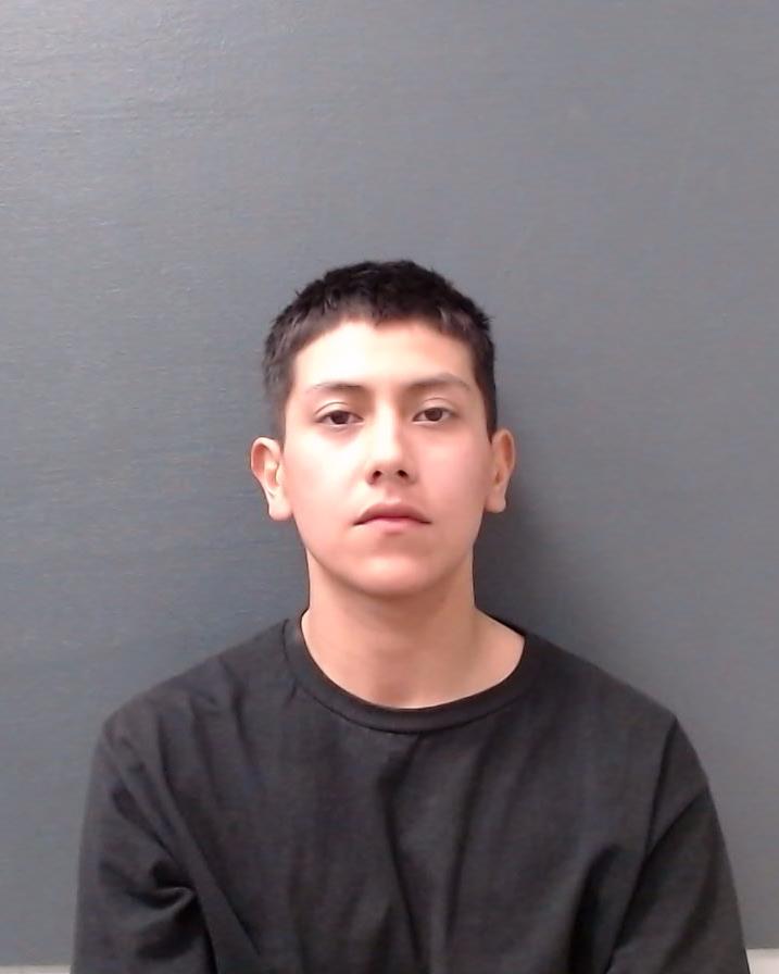 VARGAS, JAZMIN LISETTE booking photo