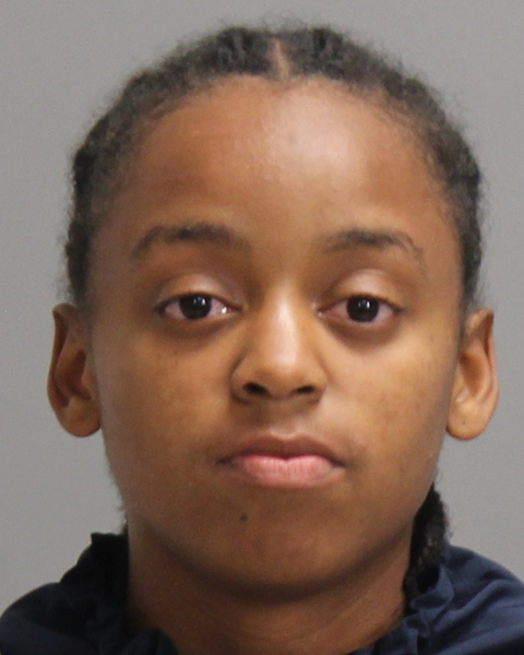 BLISSETT, MADISON BRIELLE booking photo