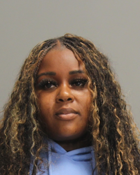 DARNELL, BRIANNA NICOLE booking photo