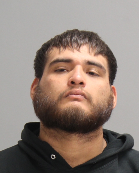 RAMON, MANUEL ISIDRO booking photo