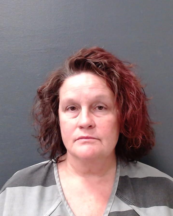 SCHNEDLER, ANGELA DENISE booking photo