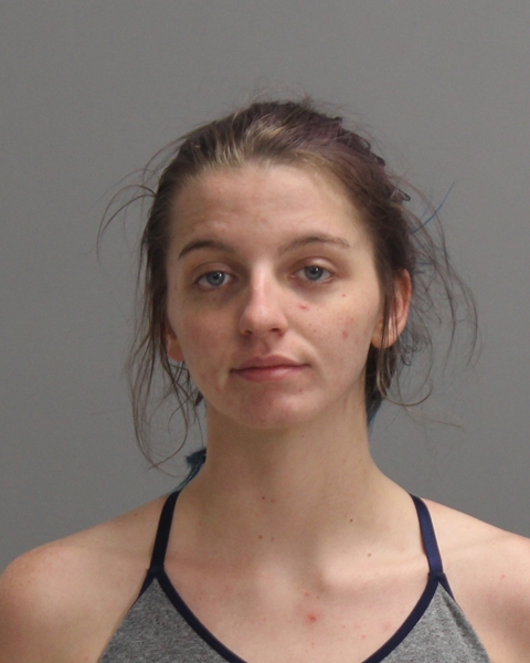 HOLLOWELL, FREEDOM CAMILLE booking photo